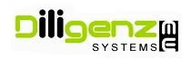 Diligenzme Systems logo