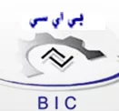Bin Suroor International Contracting logo