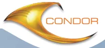 Condor Building Contracting Company LLC logo