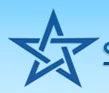 Star Light Fencing Works logo