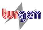 Turgen International Technology Service Consultancy Establishment logo