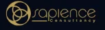 Sapience Engineering Services logo