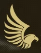 Island Falcon Technical Services logo