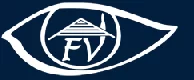 Future View Real Estate logo