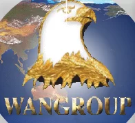 Wan Group International logo