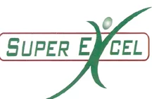 Super Excel Building Services LLC logo