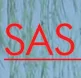 SAS Worldwide General Trading LLC logo