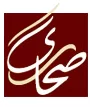 Sahara Global Investment logo