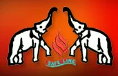 Safe Line Technical Services LLC logo