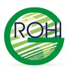 Rohi Green Intl Electromechanical LLC logo