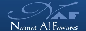 Najmat Al Fawares General Contracting LLC logo