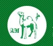 Mostafawi Stores logo