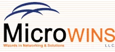 Microwins LLC logo