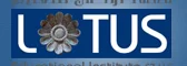 Lotus Educational Institute FZ LLC logo