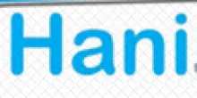 HANI MOHD IT SOLUTIONS logo