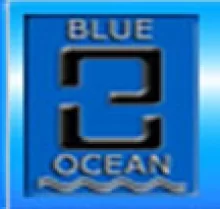 Blue Ocean Repacking Services LLC logo