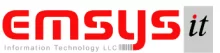 Emsys Information Technology LLC logo