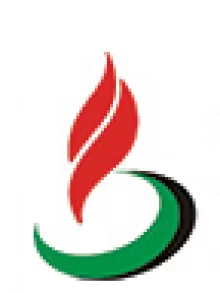 Dubai Petroleum logo