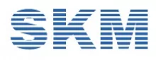 SKM Sofware FZE logo
