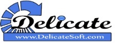 Delicate Software Solutions logo