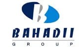 BAHADII GROUP FOR TRDG & CONTG WLL logo