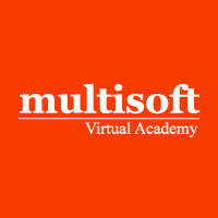 Multisoft Virtual Academy logo