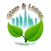 Stem and Leaves - House plants online - Indoor plants dubai logo