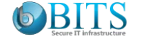 bits secure it logo