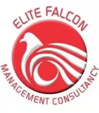 Elite Falcon Consultant Dubai logo