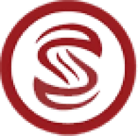 savvysetup logo