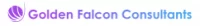 Golden Falcon Consultants LLC logo