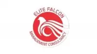 Elite Falcon Visa Consultants logo