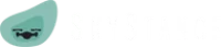 SKYSTANCE logo
