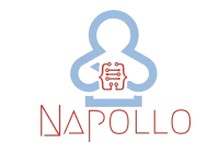 Napollo Software Design L.L.C logo