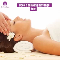 Orchid Spa in business Bay Dubai logo