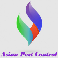 Asian Pest Control logo