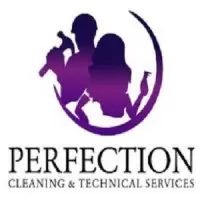 Perfectioncts logo
