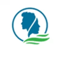Hair Transplant in Dubai logo