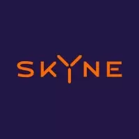 Skyne - Creative Branding Agency logo