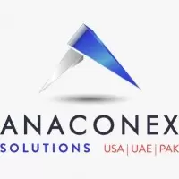 AnaConEx Solutions logo