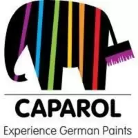 Natural Stone Finish Paints