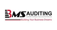 BMS Auditing logo