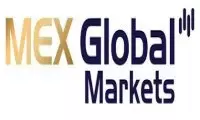 MEX Global Financial Services LLC logo