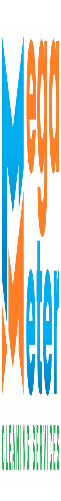 Mega Meter Cleaning Services logo