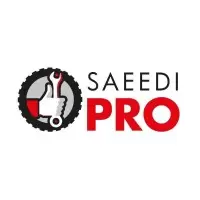 Saeedi Pro DIP logo