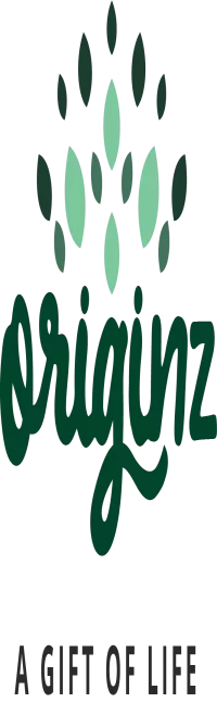 Originz logo