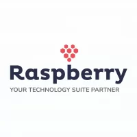 Raspberry IT Services logo