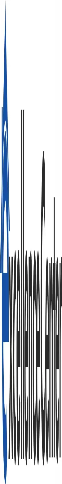 Excellence domestic workers services LLC