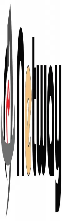 Netway Solutions Company