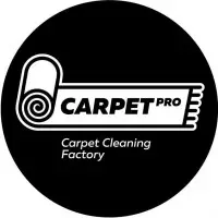 CarpetProWash.com